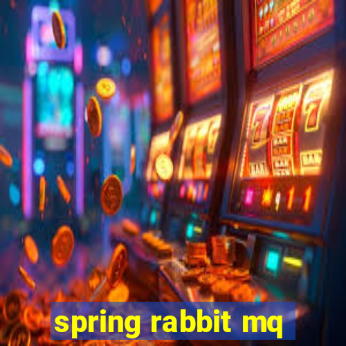 spring rabbit mq